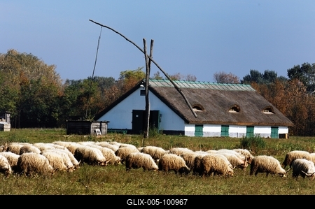 Hortobágy-stock-foto