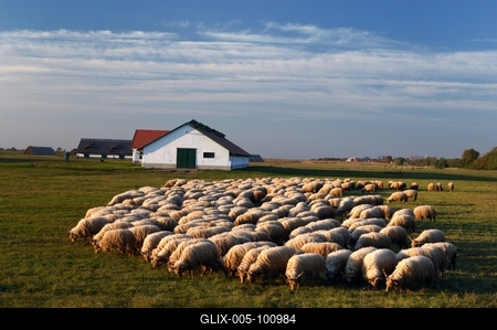 Hortobágy-stock-foto