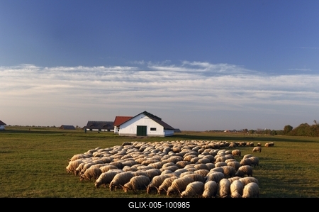 Hortobágy-stock-foto