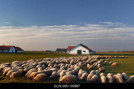 Hortobágy-stock-foto