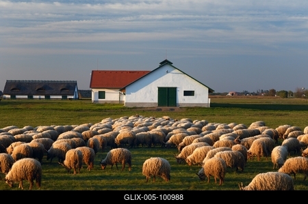 Hortobágy-stock-foto