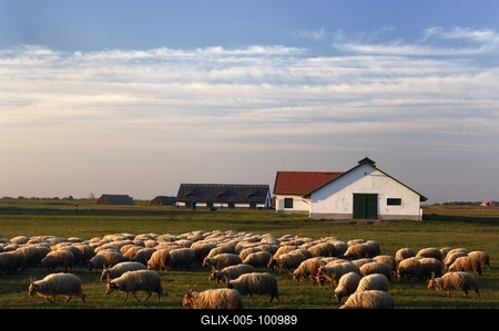 Hortobágy-stock-foto