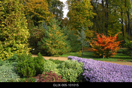 A Zirci Arborétum ősszel-stock-foto