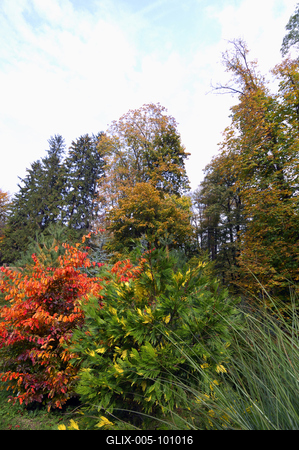 A Zirci Arborétum ősszel-stock-foto