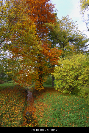 A Zirci Arborétum ősszel-stock-foto