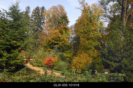 A Zirci Arborétum ősszel-stock-foto