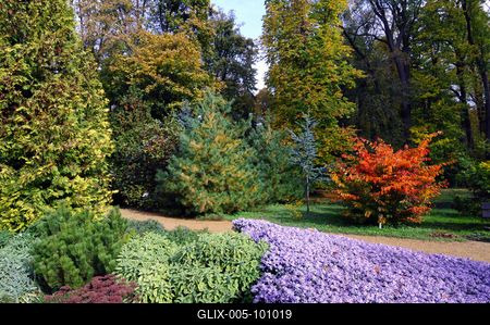 A Zirci Arborétum ősszel-stock-foto