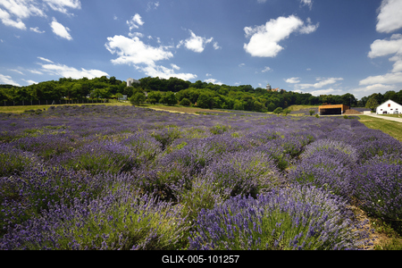 Pannonhalmi Bencés Főapátság-stock-foto