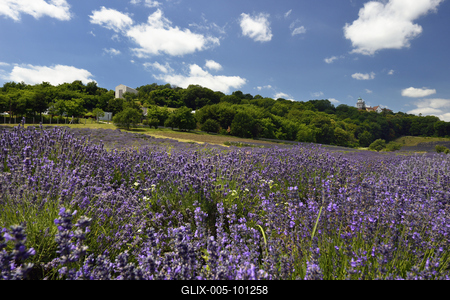 Pannonhalmi Bencés Főapátság-stock-foto