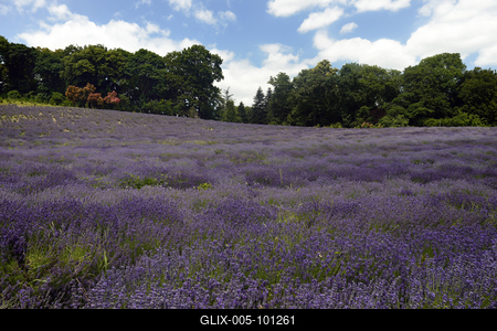 Pannonhalmi Bencés Főapátság-stock-foto