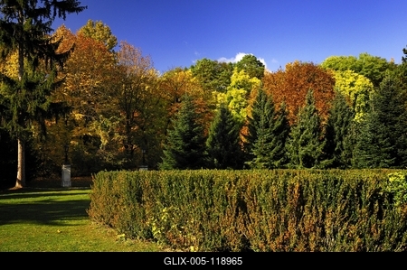 Alcsúti arborétum, Alcsútdoboz-stock-foto