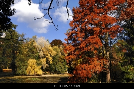 Alcsúti arborétum, Alcsútdoboz-stock-foto