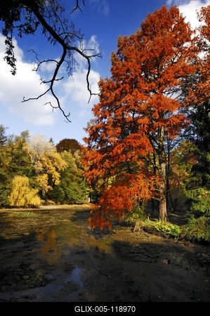 Alcsúti arborétum, Alcsútdoboz-stock-foto
