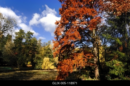 Alcsúti arborétum, Alcsútdoboz-stock-foto