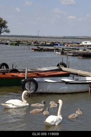 Velencei-tó, Gárdony-stock-foto