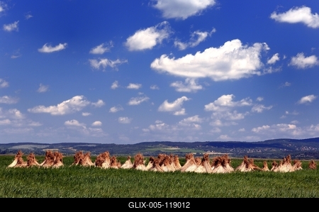 Velencei-tó-stock-foto