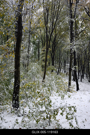 Salgótarján-stock-foto