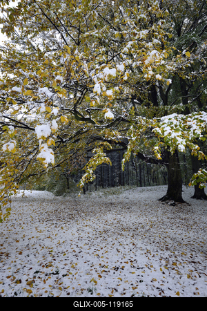 Salgótarján-stock-foto