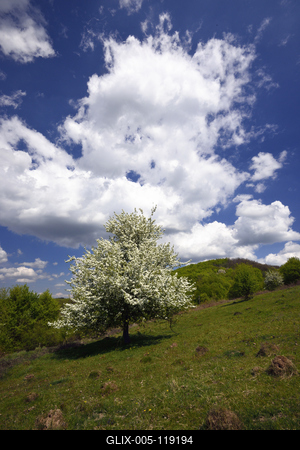 A Medves-fennsík Somoskő közelében.-stock-foto