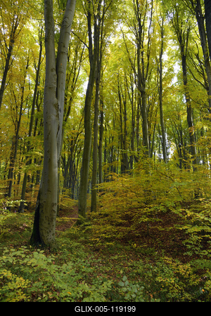 Salgótarján-stock-foto