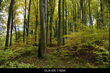 Salgótarján-stock-foto