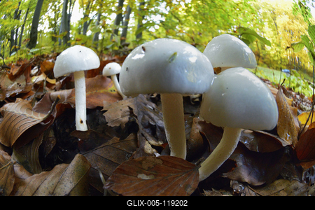 Salgótarján-stock-foto