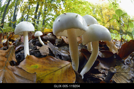 Salgótarján-stock-foto