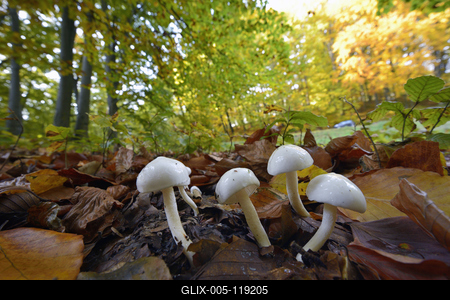 Salgótarján-stock-foto