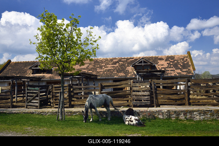 A Salföldi Major egy működő gazdaság életét és őshonos magyar háziállatfajtákat mutat be. A Major a Káli-medencében a Balaton-felvidéki Nemzeti Park információs és ökoturisztikai központja is egyben.
Lovak a Majorban.-stock-foto