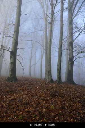 Salgótarján-stock-foto