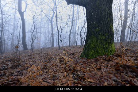 Salgótarján-stock-foto