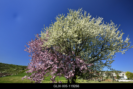 Salgótarján-stock-foto