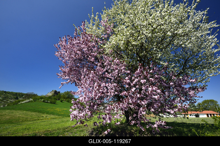 Salgótarján-stock-foto