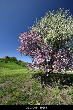 Salgótarján-stock-foto