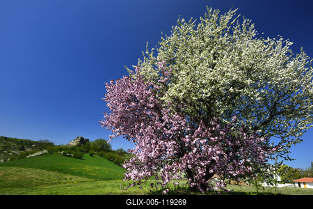 Salgótarján-stock-foto