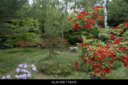 Kám, Jeli arborétum-stock-foto
