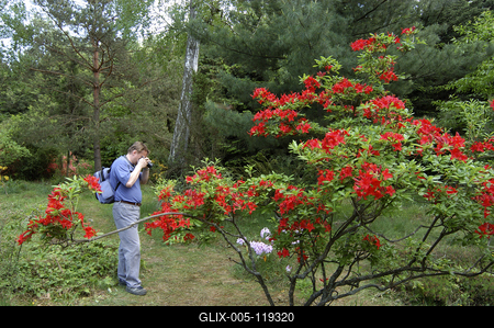 Kám, Jeli arborétum-stock-foto