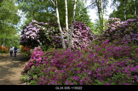 Kám, Jeli arborétum-stock-foto
