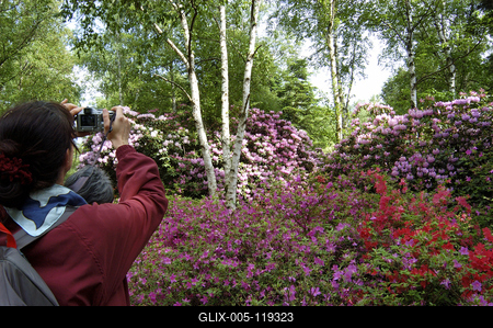 Kám, Jeli arborétum-stock-foto