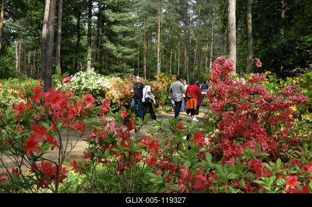 Kám, Jeli arborétum-stock-foto