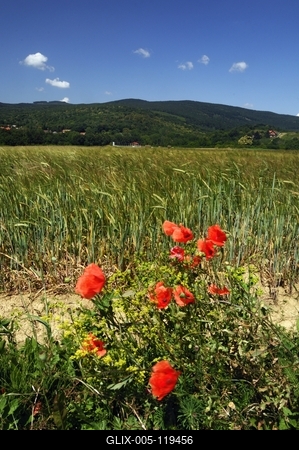 A Kőszegi-hegység látképe-stock-foto