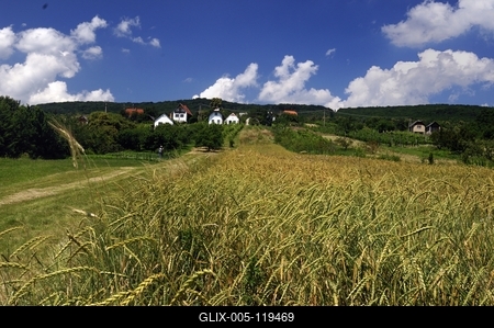 Tájkép Bozsok határában-stock-foto