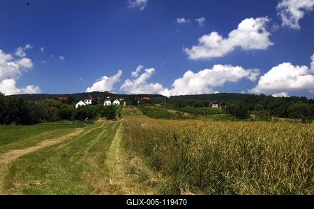 Tájkép Bozsok határában-stock-foto