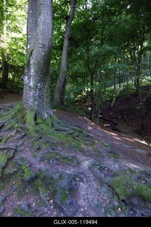 Az Írottkő Naturpark-stock-foto