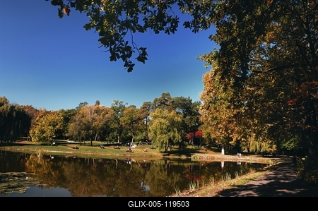 Debreceni Nagyerdő-stock-foto