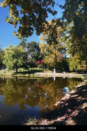 Debreceni Nagyerdő-stock-foto