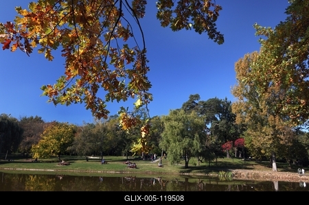 Debreceni Nagyerdő-stock-foto