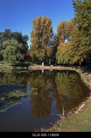 Debreceni Nagyerdő-stock-foto