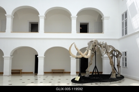 Gyöngyös, Mátra Múzeum-stock-foto