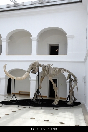 Gyöngyös, Mátra Múzeum-stock-foto